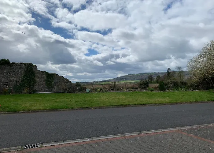 Two Bedroom Town House Beside The River Barrow