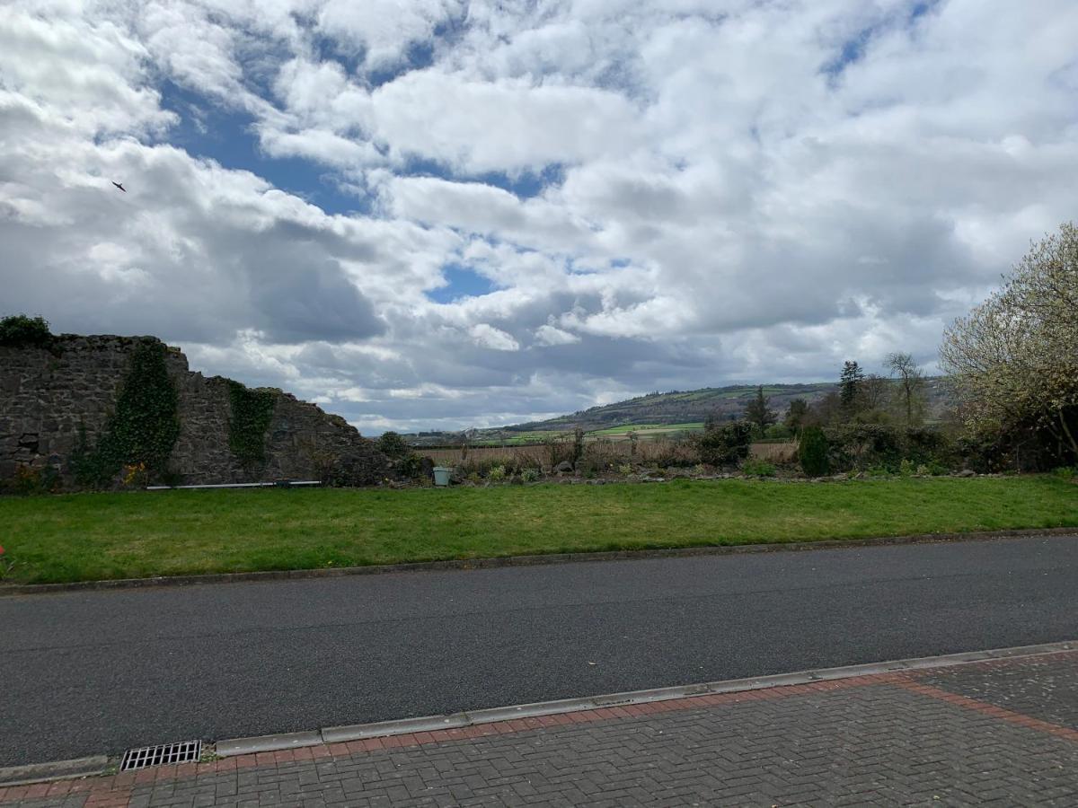 Two Bedroom Town House Beside The River Barrow * Carlow